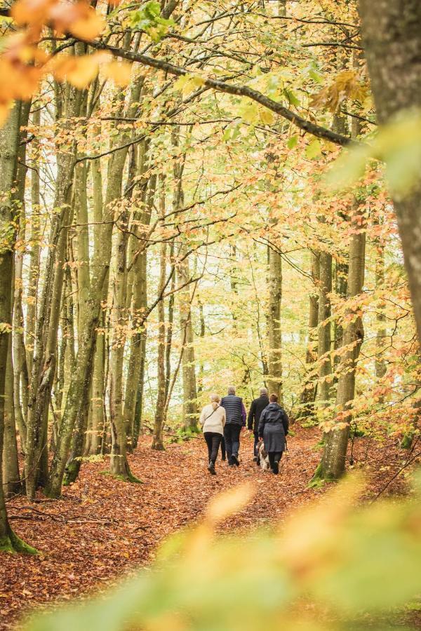Degeberga Cocoon Meetings Bed & Breakfast エクステリア 写真